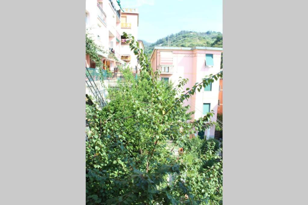 Ca Du Rocco - Citra 011019-Lt-0343 Apartment Monterosso al Mare Exterior foto